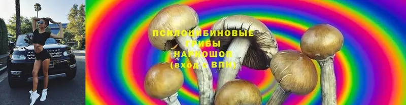 Галлюциногенные грибы MAGIC MUSHROOMS  магазин    ОМГ ОМГ онион  Козловка 